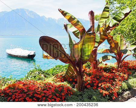 Beauty colorful flowers and boat on promenade in MONTREUX city at Lake Geneva in SWITZERLAND with panoramic view on swiss alpine mountains range and clear blue sky in 2017 warm sunny summer day, Europe on July.