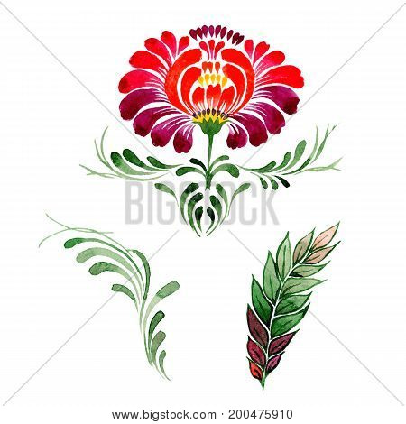 Wildflower petrikovka flower in a watercolor style isolated. Full name of the plant: petrikovka. Aquarelle wild flower for background, texture, wrapper pattern, frame or border.