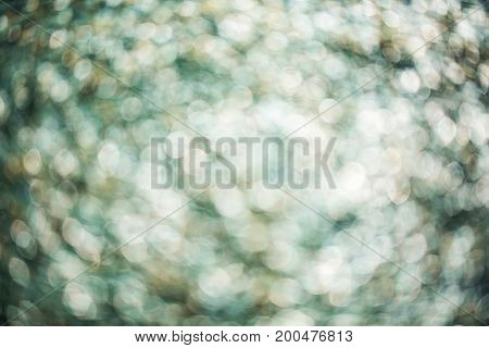 Colorful bokeh background. abstract blurred circles in nature colors. Copyspace for design and text