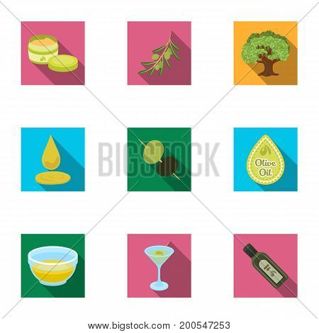 Olives, tree, branch and other products from olives.Olives set collection icons in flat style vector symbol stock illustration .