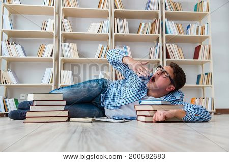 Young student studying with books