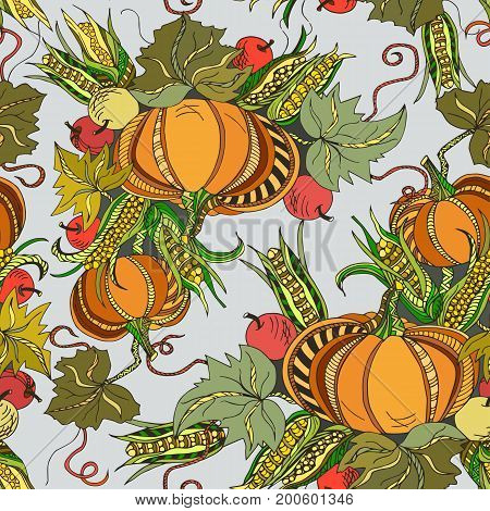Pattern with pumpkin, apples and corn. Vector.