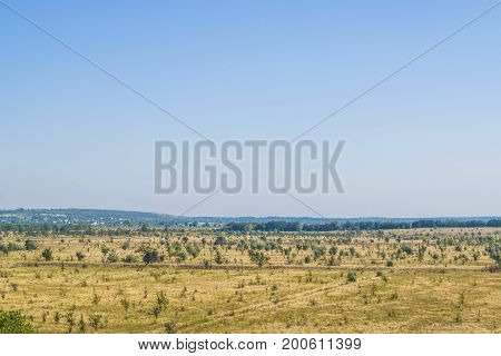 A Field In Which Nothing Grows, Except Trees. In The Distance You Can See The City