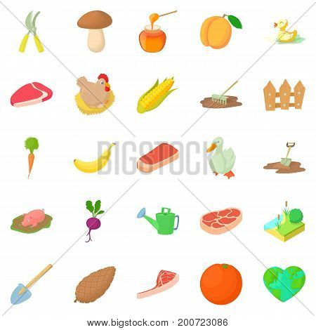Sylviculture icons set. Cartoon set of 25 sylviculture vector icons for web isolated on white background