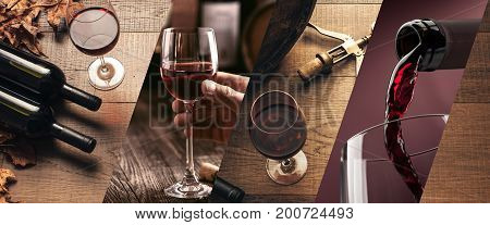 Wine Tasting And Winemaking