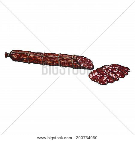 vector sketch chorizo sausage with slices. Cartoon isolated illustration on a white background. Sausage and meat types concept