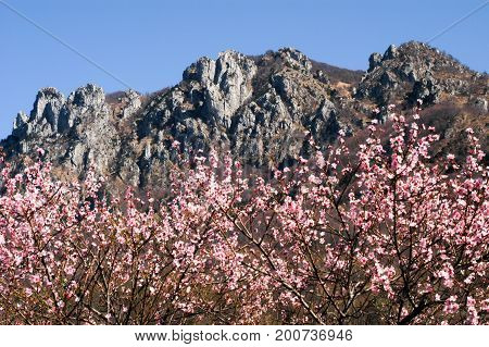 Denti della vecchia mountain on spring over Lugano on the italian part of Switzerland