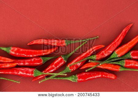 red hot chili peppers, popular spices concept - beautiful collage of uniformly distributed red hot chili pepper pods on red background, top view, flat lay, free space for your text