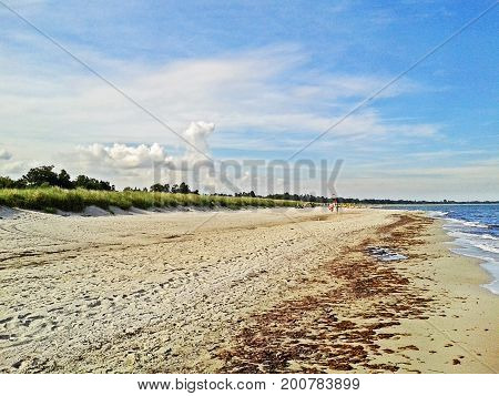 Beach in Marielyst denmark with ocean baltic sea and blue sky