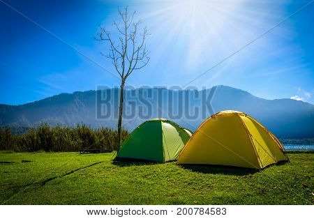 Yellow and green camping tent on grass near mountain river in morning the summer day.