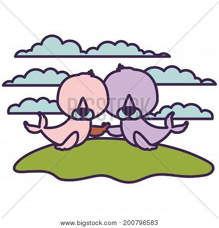 white background with light color scene couple faceless seals aquatic animals in grass vector illustration