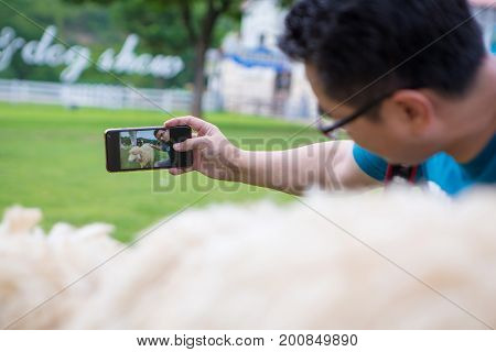 a man selfie with sheep in farm, close up