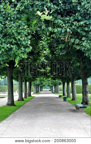 An image of a park landscape - nature