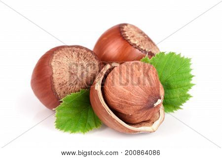 Hazelnuts with leaves isolated on white background.