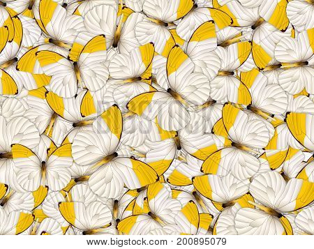 Seamless pattern with lot of different butterflys. Realistic 3D illustration