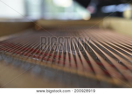 Piano chords and hammers from the inside. Very shallow depth of field. Inside picture.