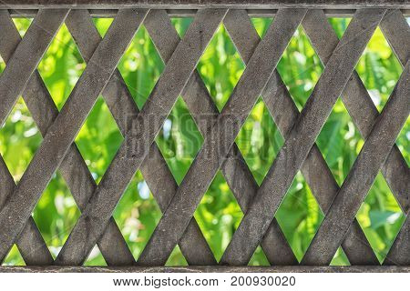 Metal Material Fence With Green Leafs At The Background