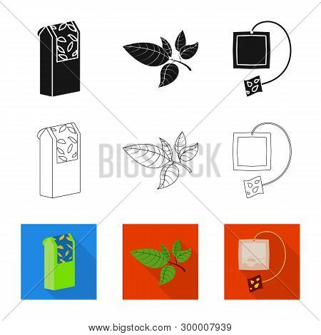 Vector Design Of Healthy And Floral  Icon. Collection Of Healthy And Gradient Vector Icon For Stock.