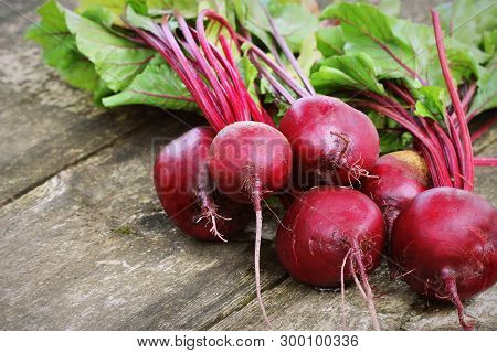 Fresh Beetroot On Rustic Wooden Background. Harvest Vegetable Cooking Conception . Diet Or Vegetaria