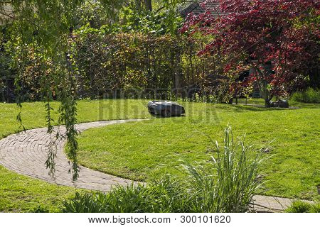 Robot Lawn Mower Is Working Automaticly In A Garden