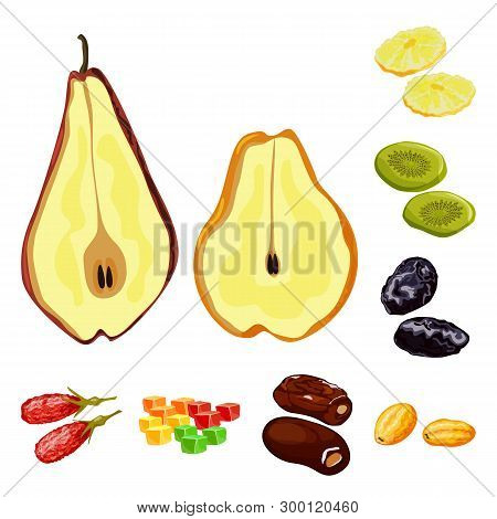 Vector Design Of Fruit And Dried  Symbol. Set Of Fruit And Food  Vector Icon For Stock.