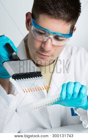 Young Biologist Sets Pcr Reaction With Multichannel Pipette