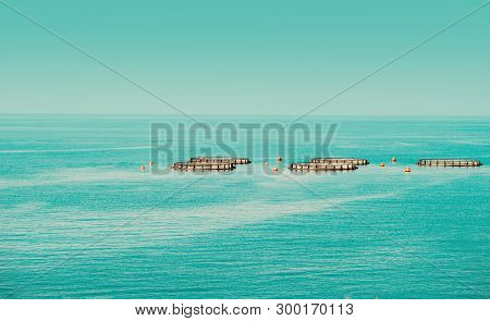 Artificial Breeding Of Fish. Tanks From The Net In The Open Air Farm For The Industrial Breeding Of 
