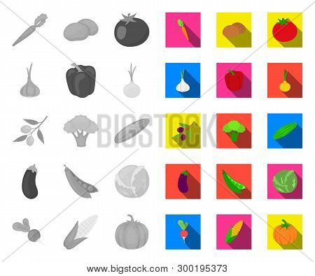Different Kinds Of Vegetables Mono, Flat Icons In Set Collection For Design. Vegetables And Vitamins