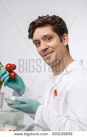 Smiling Male Biologist Or Tech With Sample Of Cherry Tomato Plant