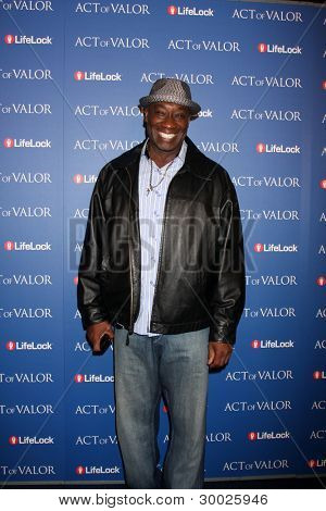 LOS ANGELES - FEB 13: Michael Clarke Duncan ankommer til 