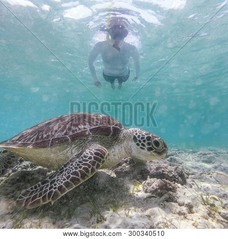 Woman On Vacations Wearing Snokeling Mask Swimming With Sea Turtle In Turquoise Blue Water Of Gili I