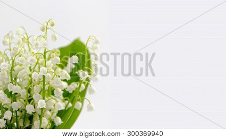 Lilly Of The Valley Flowers And Leaves Bouquet Isolated On White Background