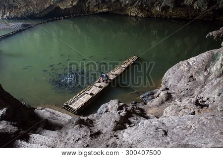 Man On A Bamboo Boat Feeding Fish In A Cave/  Fish That Inhabit The Tham Lod Cave In Mae Hong Son, N