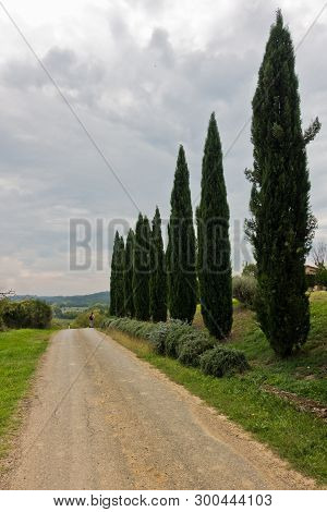 Hiking Hills, Backroads And Vineyards At Autumn, Near Siena In Tuscany, Italy