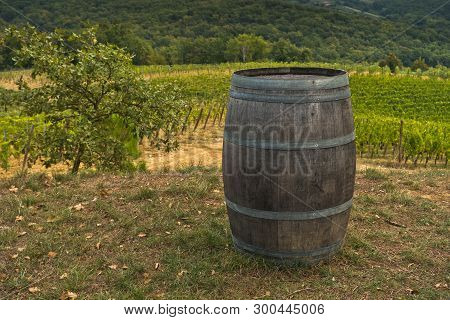 Hiking Hills, Backroads And Vineyards At Autumn, Near Siena In Tuscany, Italy