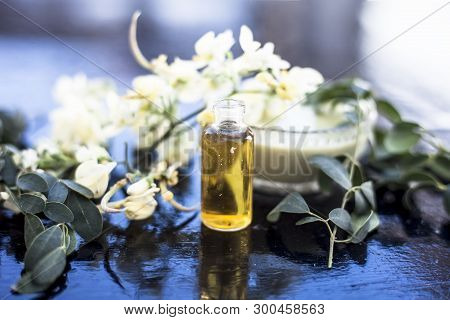 Herbal And Floral Essence Or Concentration Made From Moringa Concanensis Nimmo Also Known As Kadvo S