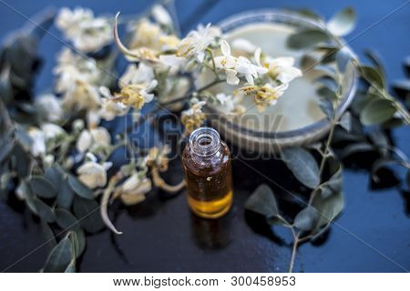 Herbal And Floral Essence Or Concentration Of Drumstick Flowers Along With Its Paste On Wooden Surfa