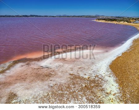 Laguna Salada In Torrevieja, Alicante Region, Spain. Pink Salted Lake. Salinas Natural Park.