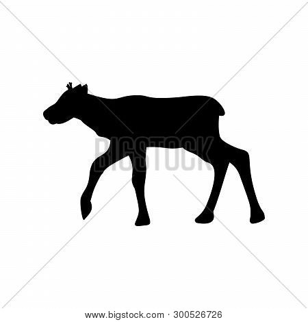 Baby Reindeer Northern Black Silhouette Animal. Vector Illustrator.