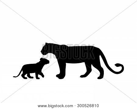 Lioness And Lion Cub Predator Black Silhouette Animal. Vector Illustrator.