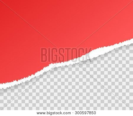 Torn Paper Edges, Seamless Horizontally. Vector Stock Illustration.