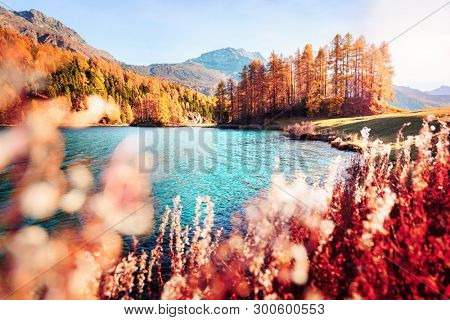 Picturesque view on Silvaplana lake in Swiss Alps, Switzerland. Landscape photography