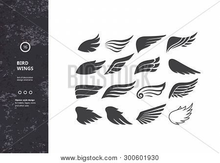 Bird Wings. Set Of Template Birds Arms. Vector Sign For Tattoos, Logos, Labels And Icons. Decorative