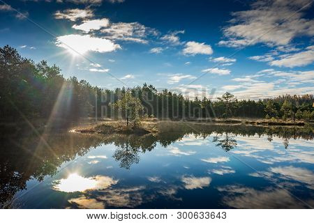Sunrise In The Bog. Icy Cold Marsh. Frosty Ground. Swamp Lake And Nature. Freeze Temperatures In Moo