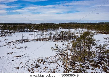 Sunrise In The Bog. Icy Cold Marsh. Frosty Ground. Swamp Lake And Nature. Freeze Temperatures In Moo