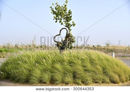 Love Lake At Al Qudra, Manmade Lake At The Al Qudra Desert, Dubai, United Arab Emirates