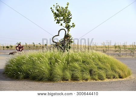 Love Lake At Al Qudra, Manmade Lake At The Al Qudra Desert, Dubai, United Arab Emirates