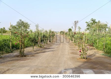 Love Lake At Al Qudra, Manmade Lake At The Al Qudra Desert, Dubai, United Arab Emirates
