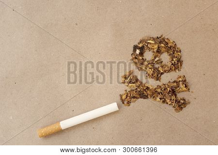 Cigarette With Scull Shaped Tobacco With Copy Space
