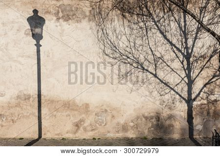 Graphical And Textured Artisic Image Of Old Textured Retro Wall With Vintage Street Lamp And Tree Sh